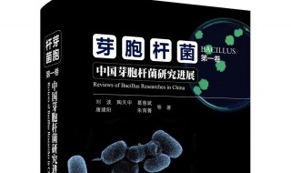 芽孢杆菌的五大作用 芽孢杆菌的作用