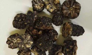 诺丽果的十大功效是什么 诺丽果的十大功效