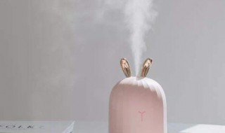 加湿器会不会引起肺炎 加湿器会引起肺炎吗