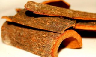 肉桂可不可以以炖肉 肉桂可以炖肉吗