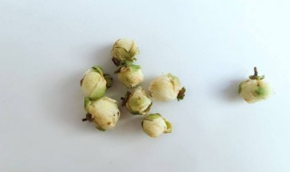 雪莲花茶有如下功效作用 雪莲花茶的功效作用