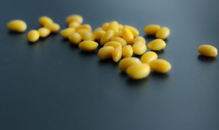 黄豆的优点缺点介绍 黄豆的作用与功效及禁忌