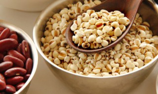 薏米红豆粥的作用与功效有哪些 薏米红豆粥的作用与功效