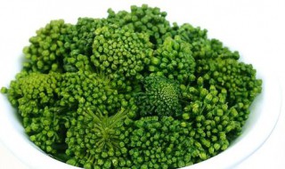 三七花的优点介绍 三七花的功效与作用有哪些