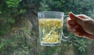 建德苞茶的冲泡有哪些方法及功效作用 建德苞茶的冲泡方法及功效作用