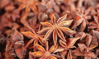 关于八角茴香的功效与作用 八角茴香的功效与作用