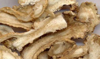 炒白术有哪些功效和作用是什么 炒白术有哪些功效和作用呢