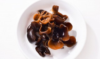 黑木耳和豆腐可以一起吃吗 黑木耳和豆腐相克吗
