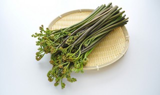 吃蕨菜有哪些禁忌 吃蕨菜有什么禁忌