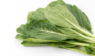 荠菜和哪些东西吃了会中毒 荠菜和什么吃了会中毒