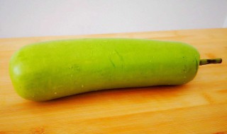 与瓠子相克食物介绍 瓠子与什么相克