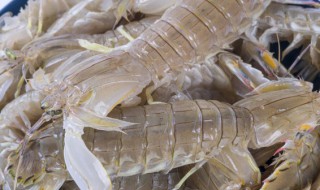 不能和海鲜一起吃的蔬菜 海鲜与什么蔬菜相克