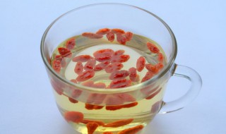 常喝枸杞泡水有哪些好处 常喝枸杞泡水有什么好处