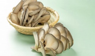 吃隔夜的蘑菇会不会中毒呢 吃隔夜的蘑菇会中毒吗