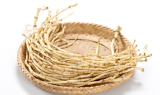 鱼腥草有哪些功效和作用 鱼腥草的作用与功效与作用
