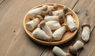 杏鲍菇不能和什么一起吃 鲍菇和什么相克