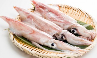 墨鱼圈的有什么食用价值 墨鱼圈的功效与作用