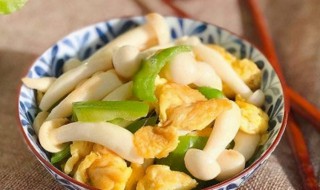 白玉菇是否可以和鸡蛋一起吃 白玉菇可以和鸡蛋一起吃吗