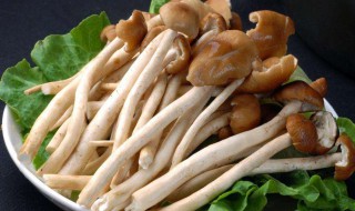 棒蘑菇孕妇能吃吗 棒蘑菇孕妇可以吃吗