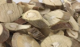 桑白皮功效与作用及禁忌是什么 桑白皮功效与作用及禁忌