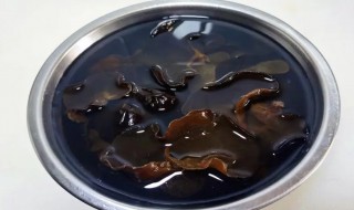 木耳泡一天是否有毒 木耳泡一天有毒吗