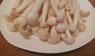 海鲜菇最好不要和这些食物一起吃 海鲜菇和什么食物相克