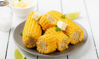 玉米和红薯能不能同食 玉米和红薯可以一起吃吗