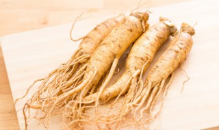 人参的吃法及禁忌 人参吃法与忌食