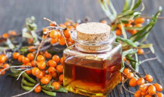 沙棘油有什么营养价值 沙棘油的营养价值