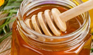 羊肉和蜂蜜能一起吃吗 羊肉和蜂蜜能同时吃吗