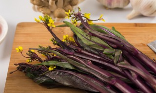 红菜苔性寒吗 红菜苔性温还是性寒