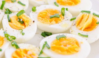 鸡蛋和紫菜能不能一起吃 鸡蛋和紫菜能一起吃吗