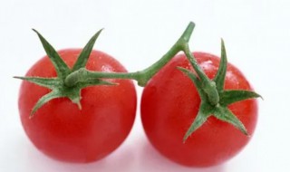 煮熟的西红柿是否还有营养 煮熟的西红柿还有营养吗