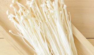 金针菇的属性是什么 金针菇是凉性还是热性的