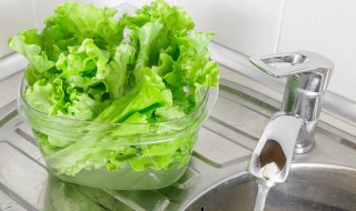 生菜的食物属性 生菜是热性的还是凉性的