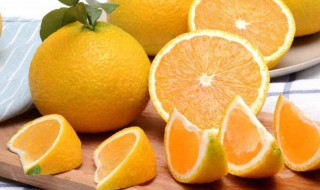 桔柚是热性还是凉性的 桔柚是热性还是凉性水果