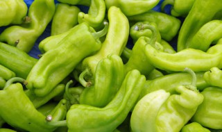 辣椒的介绍 辣椒是凉性的还是热性的