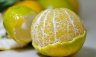 皇帝柑简介 皇帝宫柑是热性还是凉性的