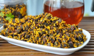 昆仑雪菊属于热性还是凉性 昆仑雪菊属性是热性还是凉性