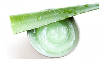 如何挑选正宗的芦荟胶 怎样挑选正宗的芦荟胶