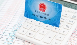 如何查看养老保险呢 怎么查看自己的养老保险