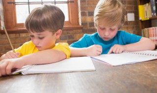 一甲是啥意思 一甲是什么意思