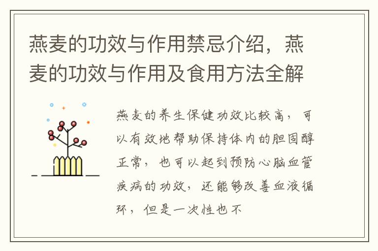 燕麦的功效与作用及食用方法全解 燕麦的功效与作用禁忌介绍