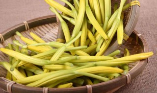黄花菜的营养价值及功效简单介绍 黄花菜的营养价值及功效
