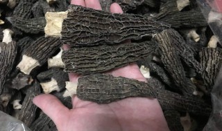 羊肚菌的功效与作用及食用方法 羊肚菌的功效与吃法