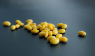 黄豆和什么一起打豆浆比较好 黄豆和什么一起打豆浆最好