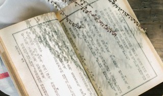 赠刘景文古诗的意思和注释 赠刘景文古诗的意思注释