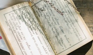 另类的意思是啥 另类的意思