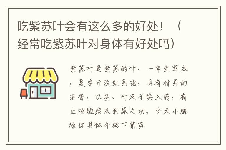 经常吃紫苏叶对身体有好处吗 吃紫苏叶会有这么多的好处！