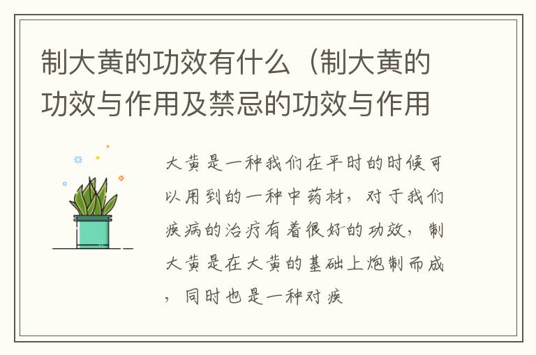 制大黄的功效与作用及禁忌的功效与作用 制大黄的功效有什么